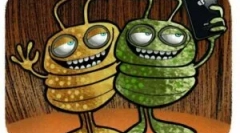 Hogyan lehet meghatározni, hogy vannak bolhák házak?